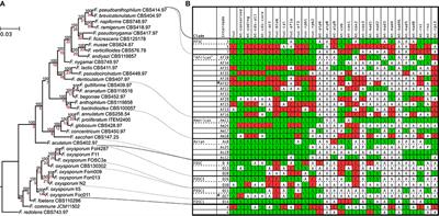 Detecting Introgression Between Members of the Fusarium fujikuroi and F. oxysporum Species Complexes by Comparative Mitogenomics